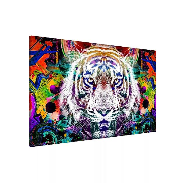 Magnettafel Street Art Tiger günstig online kaufen