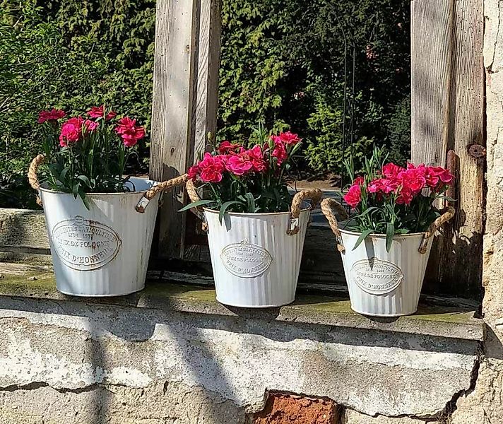 Pflanztopf Blumentopf Set 3 Stück Pflanzeimer Metall Weiß Vintage-Stil Land günstig online kaufen