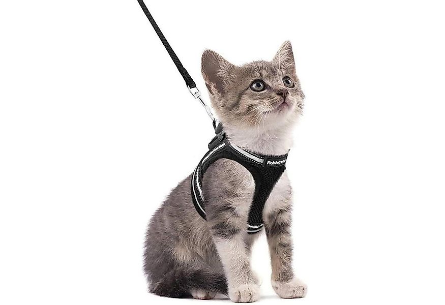 LuxusKollektion Katzen-Halsband Katzengeschirr mit Leine Ausbruchsicher Ver günstig online kaufen