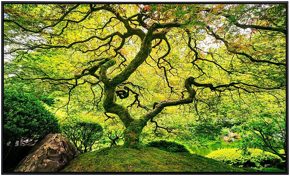 Papermoon Infrarotheizung »Japanischer Ahornbaum«, sehr angenehme Strahlung günstig online kaufen