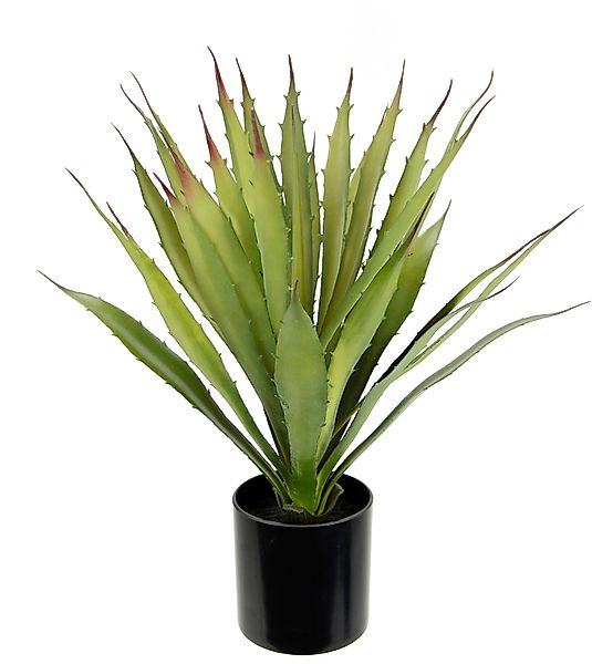 Kunstpflanze Künstliche Agave Aloe Vera im günstig online kaufen