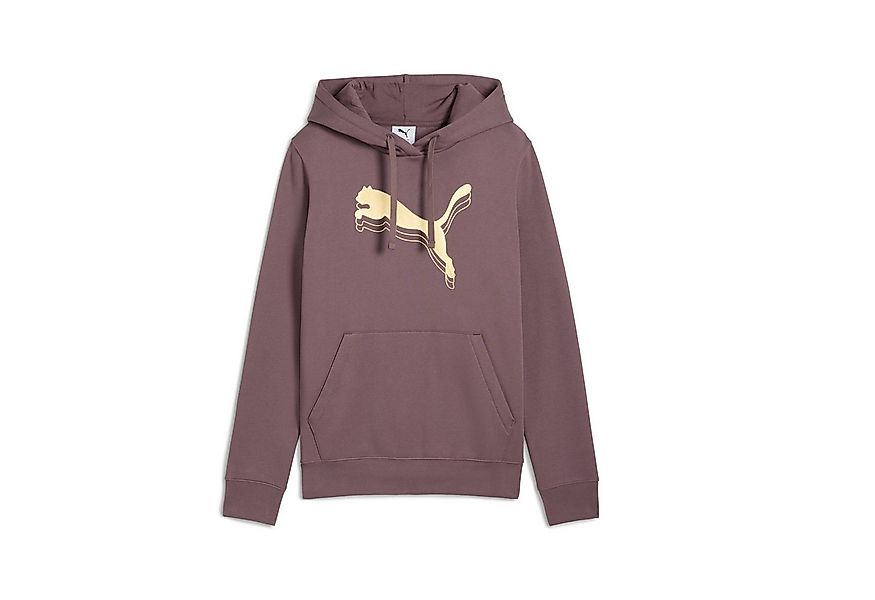 PUMA Kapuzensweatshirt ESS METALLIC HOODIE FL mit Logodruck, aus Fleece-Mat günstig online kaufen