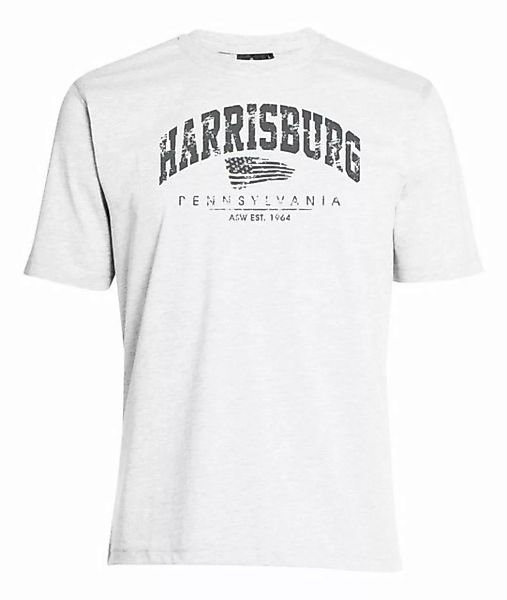 AHORN SPORTSWEAR T-Shirt HARRISBURG mit modischem Print günstig online kaufen