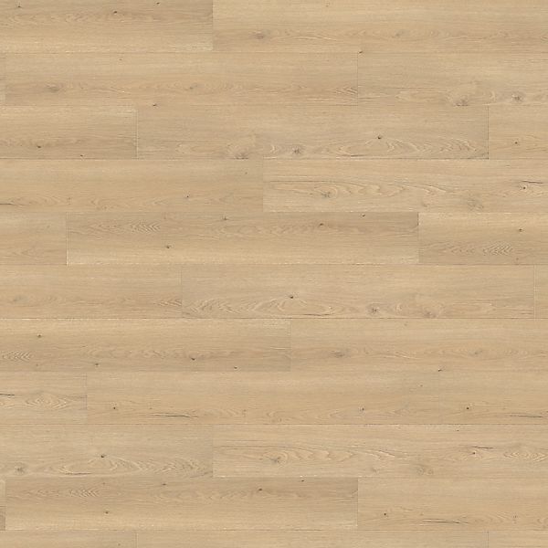 Living by Haro Laminat 8 mm Eiche Flavia Puro günstig online kaufen