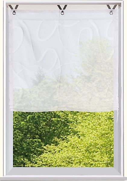 Bruno Banani Raffrollo TILO, mit Hakenaufhängung, transparent, Ausbrenner, günstig online kaufen