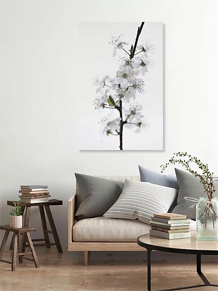 Poster / Leinwandbild - White Blossoms günstig online kaufen