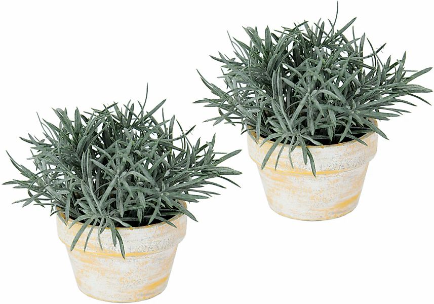 I.GE.A. Kunstpflanze "Künstlicher Podocarpus im Topf 2er Set", Deko Blume f günstig online kaufen