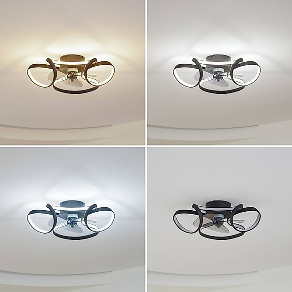Lindby LED-Deckenventilator Lomata, schwarz, leise, Ø 23 cm günstig online kaufen