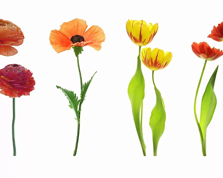 Fototapete "Blumenvielfalt" 4,00x2,50 m / Strukturvlies Klassik günstig online kaufen