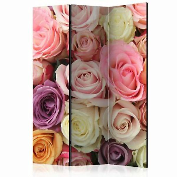 artgeist Paravent Pastel roses [Room Dividers] mehrfarbig Gr. 135 x 172 günstig online kaufen