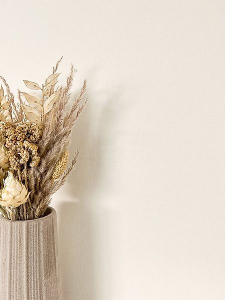 Newroom Vliestapete Niama Uni Creme Tapete Universal Unifarbe,Struktur,Lein günstig online kaufen