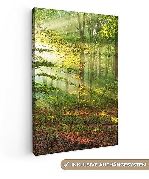 OneMillionCanvasses® Leinwandbild Sonne - Wald - Bäume - Natur - Herbst, Fo günstig online kaufen
