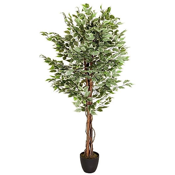Kunstpflanze Kunstpflanze FICUS Kunststoff, Stoff Birke, günstig online kaufen