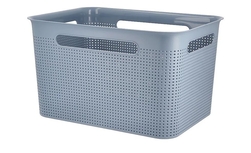Rotho Aufbewahrungsbox - blau - Kunststoff - 36 cm - 21 cm - 26 cm - Sconto günstig online kaufen