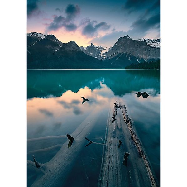 Vlies Fototapete Burning Emerald 200x280 cm günstig online kaufen