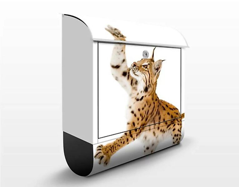 Briefkasten Tiere Lurking Lynx günstig online kaufen