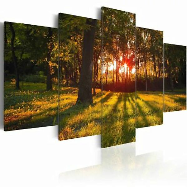 artgeist Wandbild In the shade of forest mehrfarbig Gr. 200 x 100 günstig online kaufen