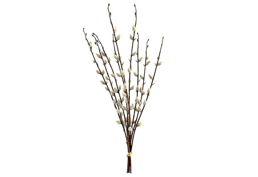 Kunstzweig Künstlicher WEIDENKÄTZCHEN BUND ca 50cm. 3 Palmkätzchen-Zweige., günstig online kaufen