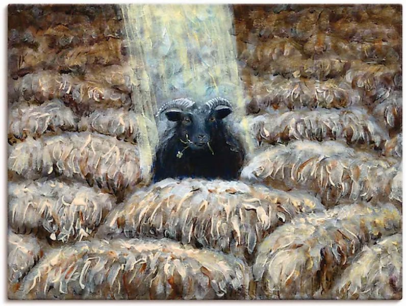 Artland Wandbild »Schwarzes Schaf« Haustiere 1 Stk. tlg. als Leinwandbild i günstig online kaufen