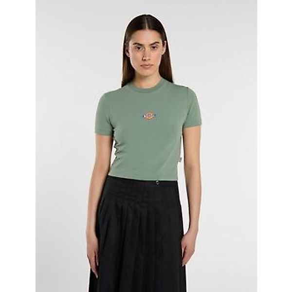 Dickies  T-Shirts & Poloshirts MAPLE VALLEY DK0A4XPO-L191 SEA SPRAY günstig online kaufen