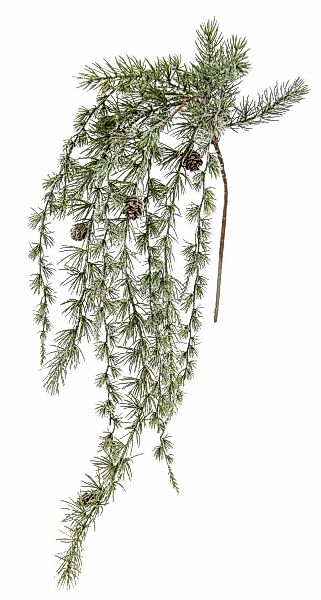 I.GE.A. Kunstzweig "Kieferhänger" Kieferzweig hängend mit Zapfen Schnee gee günstig online kaufen