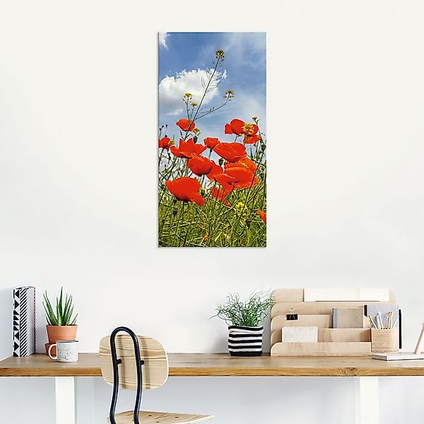 Artland Wandbild »Mohnblumen im Panorama«, Blumenbilder, (1 St.), als Alubi günstig online kaufen