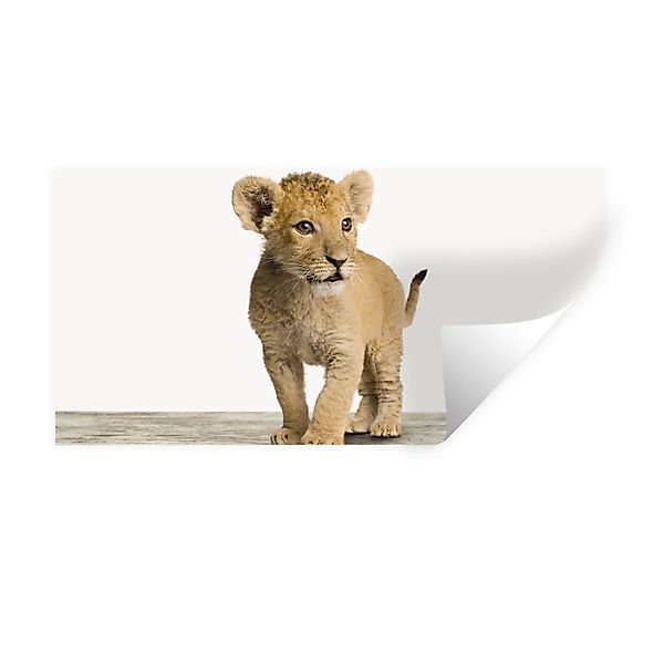 MuchoWow Wandsticker Löwe - Junge - günstig online kaufen