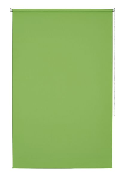 Seitenzugrollo Amelie, Good Life, Lichtschutz, mit günstig online kaufen