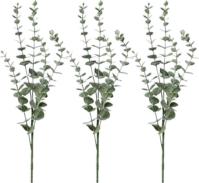 Kunstpflanze Kunstpflanze Eukalyptuszweig 3er-Pack günstig online kaufen