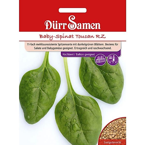 Dürr Samen Babyspinat Toucan Rz Saatgut günstig online kaufen
