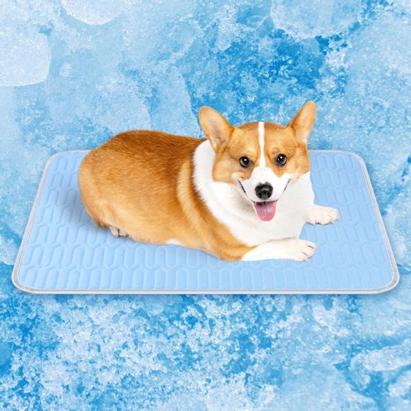 Coonoor Hundematte Selbstkühlende Hundematte, Kühldecke Katzen,Waschbar günstig online kaufen