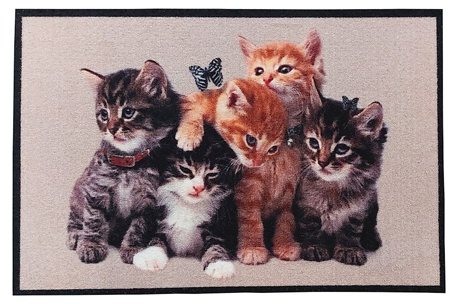 oKu-Tex Fußmatte Türvorleger mit Aufdruck, Katzen, günstig online kaufen