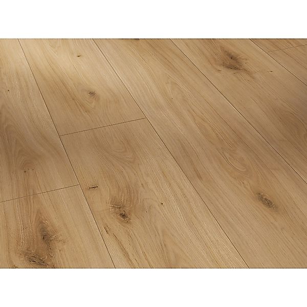 Parador Basic 600 Laminat 8 mm Wasserfest Eiche Horizont Natur günstig online kaufen