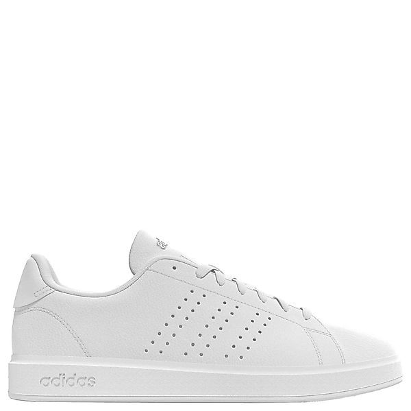 adidas Performance Sneaker (1-tlg) günstig online kaufen