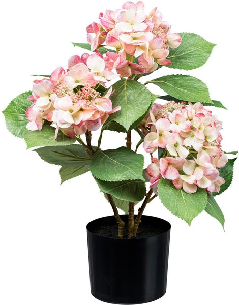 Kunstpflanze Hortensienbusch Hortensie, Creativ green, Höhe günstig online kaufen
