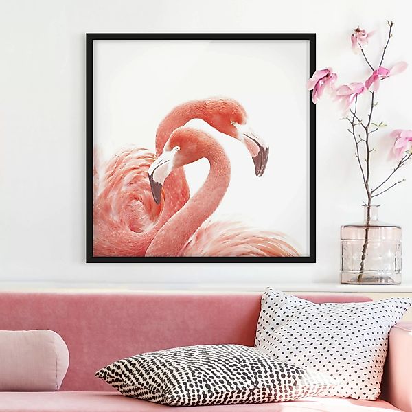 Bild mit Rahmen Zwei Flamingos günstig online kaufen