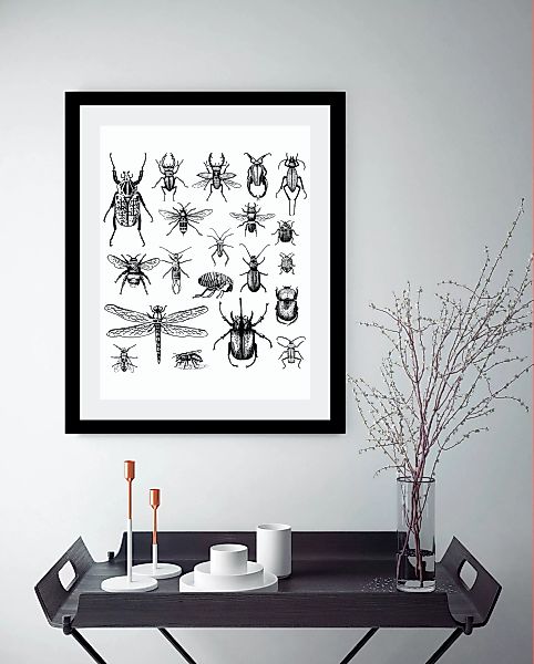 queence Bild »Käfer«, Tiere-Schwarz-Weiß-Kunst-Insekten, HD Premium Poster- günstig online kaufen