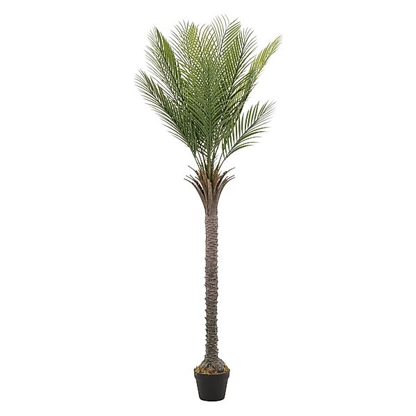 ML-Design Künstliche Palme 180 cm Groß Tropische Kunstpalme im Topf günstig online kaufen