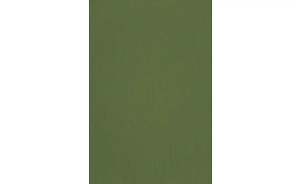 Bricoflor Verdunkelungsvorhang mit Verdeckten Schlaufen Galdin Olivgrün günstig online kaufen