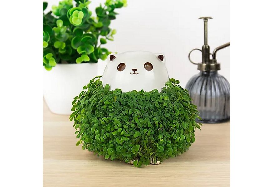 GIFT REPUBLIC Kräuterbeet Chia Kätzchen Pflanzgefäß günstig online kaufen