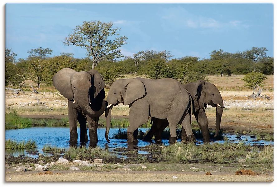 Artland Wandbild "Afrikanischer Elefant EtoshaNationalpark", Elefanten Bild günstig online kaufen