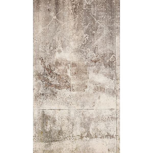 A.S. Création Fototapete Vlies Betonwand Vintage 159 cm x 280 cm Beige-Weiß günstig online kaufen