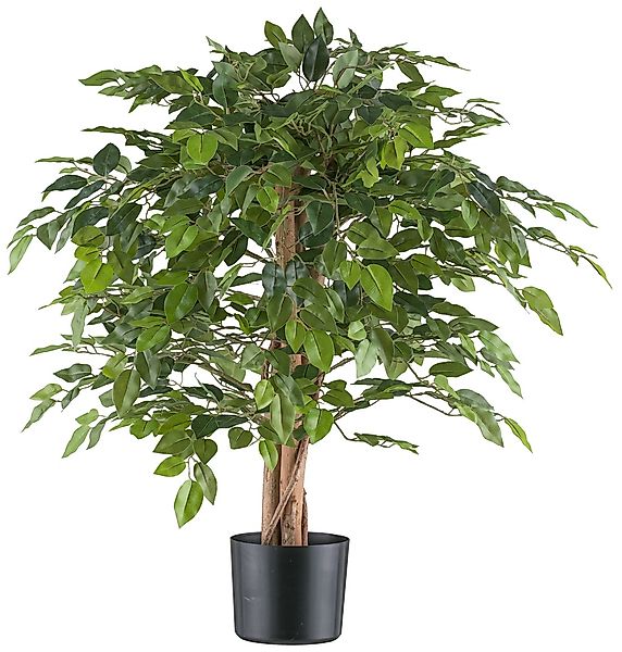 Creativ green Kunstpflanze "Ficus benjamina", mit Naturstamm günstig online kaufen