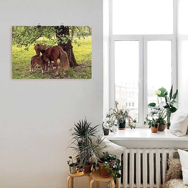 Artland Wandbild "Pony - Mutterglück", Haustiere, (1 St.), als Alubild, Out günstig online kaufen