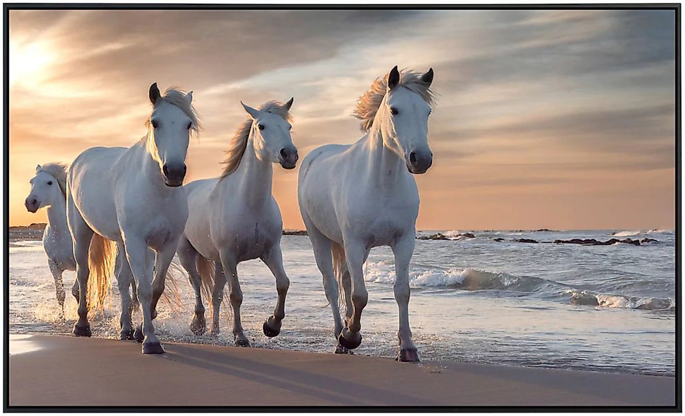 Papermoon Infrarotheizung »Pferde am strand«, sehr angenehme Strahlungswärm günstig online kaufen