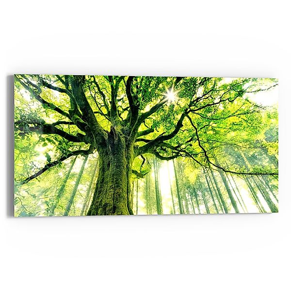 DEQORI Glasbild 'Eindrucksvoller Baum', 'Eindrucksvoller Baum', günstig online kaufen