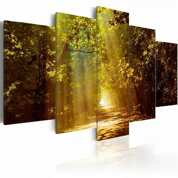 artgeist Wandbild Forest in the Sunlight mehrfarbig Gr. 200 x 100 günstig online kaufen