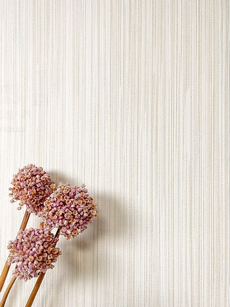 Newroom Vliestapete, Creme Tapete Modern Unifarbe günstig online kaufen