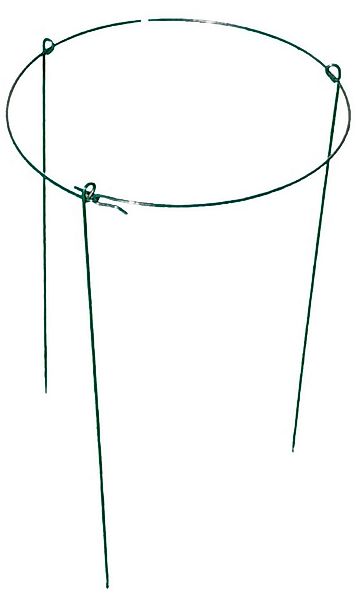 Grüner Jan Rankhilfe Metall-Pflanzenstütze 60x35cm Blumenstütze Staudenhalt günstig online kaufen