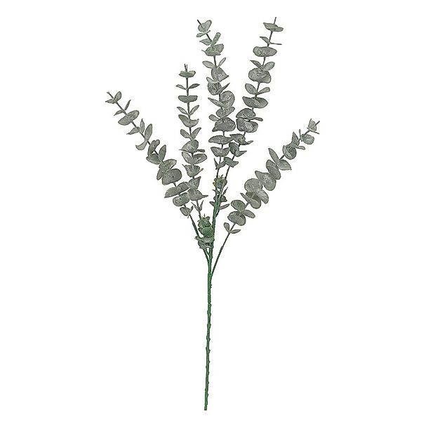 Kunstzweig Eukalyptuszweig, 2474U, Höhe 80 cm günstig online kaufen